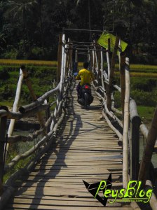 Jembatan Bambu Di Sukanagara